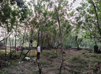 Residential Land for Sale in Kasargod, Badiaduka, Badiadka, ukkinadka