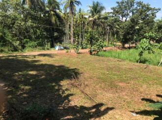 Residential Land for Sale in Malappuram, Manjeri, Manjeri, Sathyanpadi,Wandoor, elankur road manjeri