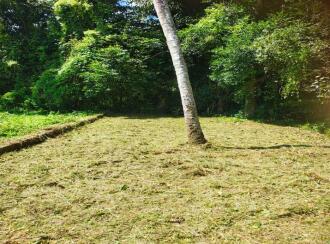 Residential Land for SalePathanamthitta, Thiruvalla, Thiruvalla town