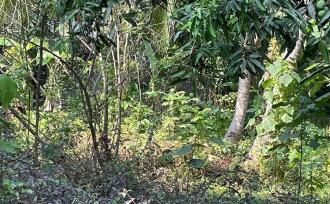 Residential Land for Sale in Alleppey, Alappuzha, Alappuzha