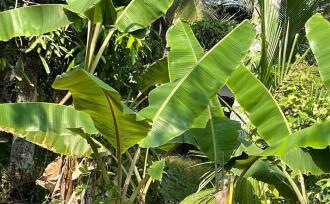 Residential Land for Sale in Alleppey, Alappuzha, Alappuzha