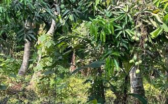 Residential Land for Sale in Alleppey, Alappuzha, Alappuzha