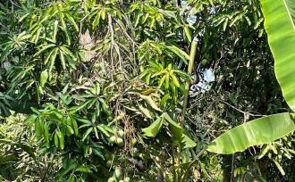 Residential Land for Sale in Alleppey, Alappuzha, Alappuzha