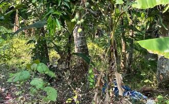 Residential Land for Sale in Alleppey, Alappuzha, Alappuzha