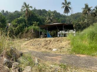 Commercial Land for Sale in Thrissur, Pattikkad, Pattikkad, NH544