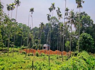 Commercial Land for Sale in Ernakulam, Kothamangalam, Kothamangalam town, Near to beverage