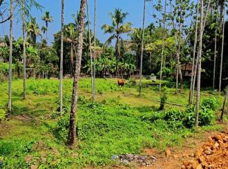 Commercial Land for Sale in Ernakulam, Kothamangalam, Kothamangalam town, Near to beverage