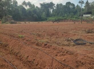 Residential Land for SaleThrissur, Mala, Vadama