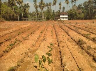 Residential Land for Sale in Thrissur, Mala, Vadama, Vadama School