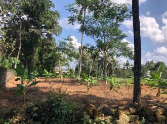 Residential Land for Sale in Pathanamthitta, Pathanamthitta, Vettipuram