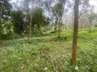 Residential Land for Sale in Ernakulam, Peppathy, Peppathy, 100 METRE FROM THOTTAPPADY-CHERUKARA ROAD. 1 KM FROM THOTTAPPADY