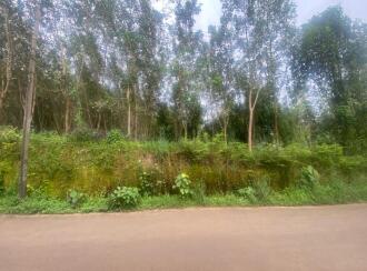 Residential Land for Sale in Ernakulam, Peppathy, Peppathy, 100 METRE FROM THOTTAPPADY-CHERUKARA ROAD. 1 KM FROM THOTTAPPADY