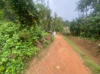 Residential Land for Sale in Ernakulam, Peppathy, Peppathy, 100 METRE FROM THOTTAPPADY-CHERUKARA ROAD. 1 KM FROM THOTTAPPADY
