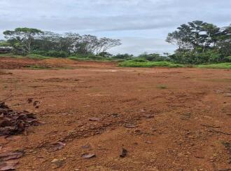 Residential Land for Sale in Ernakulam, Peppathy, Peppathy, 100 METRE FROM THOTTAPPADY-CHERUKARA ROAD. 1 KM FROM THOTTAPPADY