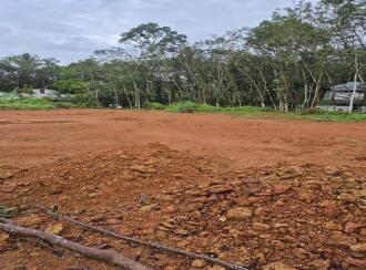 Residential Land for Sale in Ernakulam, Peppathy, Peppathy, 100 METRE FROM THOTTAPPADY-CHERUKARA ROAD. 1 KM FROM THOTTAPPADY