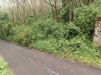 Agricultural Land for Sale in Ernakulam, Piravom, Onakkoor