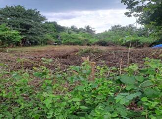 Residential Land for Sale
