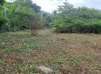Residential Land for Sale in Palakkad, Alathur, Vadakkancheri, Anchumurthy, Mangalam, Vadakkanchery, Alathur, Palakkad.
