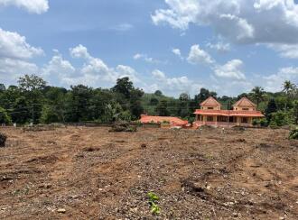 Residential Land for Sale in Pathanamthitta, Mallappally, Palackathakidi, Palackathakidi - Poovathanam Road