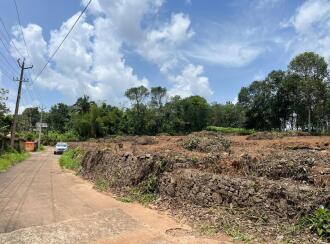 Residential Land for Sale in Pathanamthitta, Mallappally, Palackathakidi, Palackathakidi - Poovathanam Road