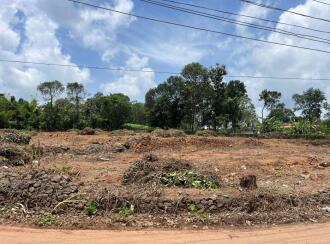 Residential Land for Sale in Pathanamthitta, Mallappally, Palackathakidi, Palackathakidi - Poovathanam Road