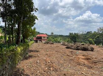 Residential Land for Sale in Pathanamthitta, Mallappally, Palackathakidi, Palackathakidi - Poovathanam Road