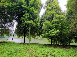 Residential Land for Sale in Ernakulam, Muvattupuzha, Memadangu, Near Kavana Bridge