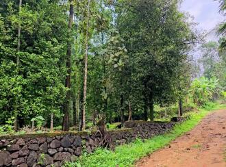 Residential Land for Sale in Ernakulam, Muvattupuzha, Memadangu, Near Kavana Bridge