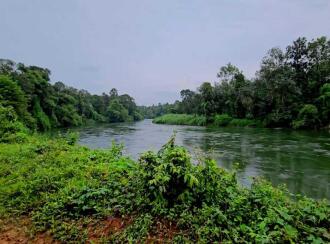 Residential Land for Sale in Ernakulam, Muvattupuzha, Memadangu, Near Kavana Bridge