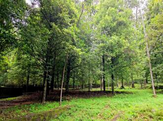 Residential Land for Sale in Ernakulam, Muvattupuzha, Memadangu, Near Kavana Bridge