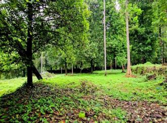 Residential Land for Sale in Ernakulam, Muvattupuzha, Memadangu, Near Kavana Bridge