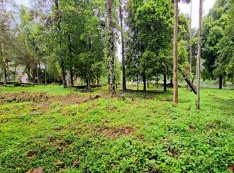 Residential Land for Sale in Ernakulam, Muvattupuzha, Memadangu, Near Kavana Bridge