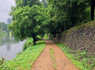 Residential Land for Sale in Ernakulam, Muvattupuzha, Memadangu, Near Kavana Bridge