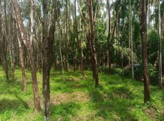 Residential Land for Sale in Palakkad, Karimba, Edakurissi, GLP School Kappadam.