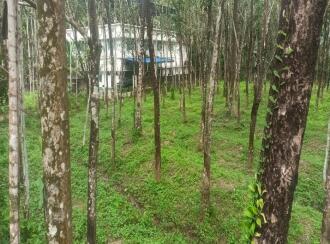 Residential Land for Sale in Palakkad, Karimba, Edakurissi, GLP School Kappadam.