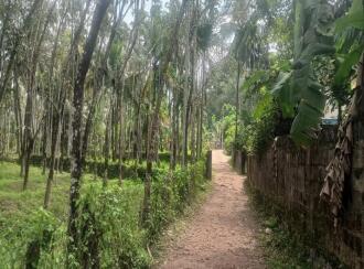 Residential Land for Sale in Palakkad, Karimba, Edakurissi, GLP School Kappadam.