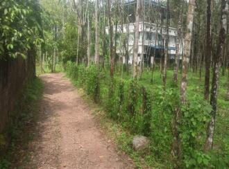 Residential Land for Sale in Palakkad, Karimba, Edakurissi, GLP School Kappadam.
