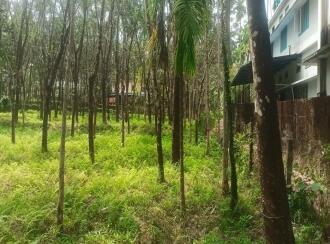 Residential Land for Sale in Palakkad, Karimba, Edakurissi, GLP School Kappadam.