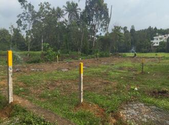 Residential Land for Sale in Ernakulam, Kakkanad, Pallikkara, Vilangu