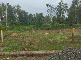 Residential Land for Sale in Ernakulam, Kakkanad, Pallikkara, Vilangu