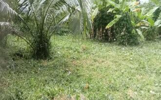 Residential Land, Trivandrum