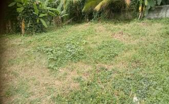 Residential Land for Sale in Trivandrum, Poojappura, Mudavanmugal, Tagore road
