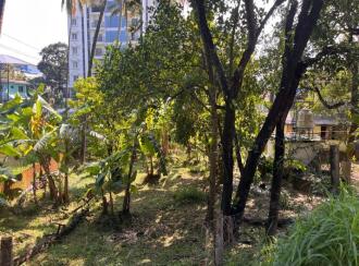 Commercial Land for Sale in Thrissur, Chalakudy, Chalakkudy, Edassery Super Market