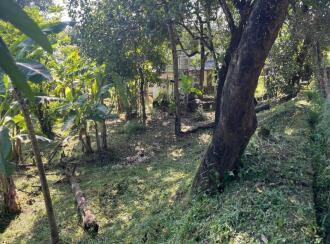 Commercial Land for Sale in Thrissur, Chalakudy, Chalakkudy, Edassery Super Market