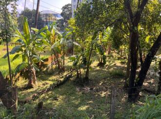 Commercial Land for Sale in Thrissur, Chalakudy, Chalakkudy, Edassery Super Market