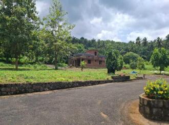 Residential Land for SalePalakkad, Pattambi, Mele Pattambi