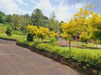 Residential Land for Sale in Palakkad, Pattambi, Mele Pattambi, sankaramangalam