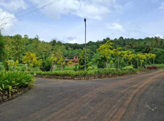 Residential Land for Sale in Palakkad, Pattambi, Mele Pattambi, sankaramangalam