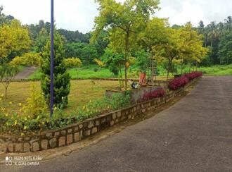 Residential Land for Sale in Palakkad, Pattambi, Mele Pattambi, sankaramangalam