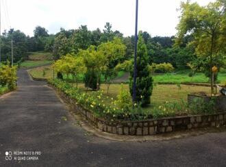 Residential Land for Sale in Palakkad, Pattambi, Mele Pattambi, sankaramangalam